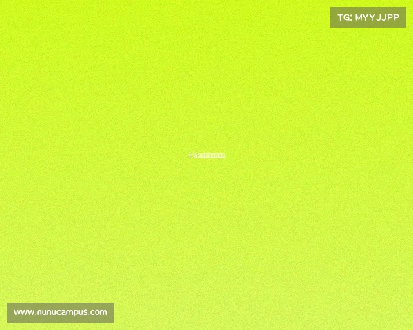 fifa足球世界焦点赛事