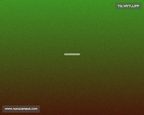 击剑赛事图片、击剑比赛赛制