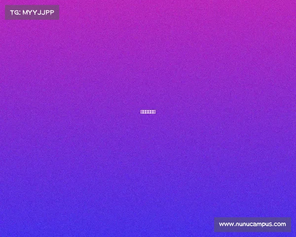 宝马赛车奖项 宝马赛车奖项