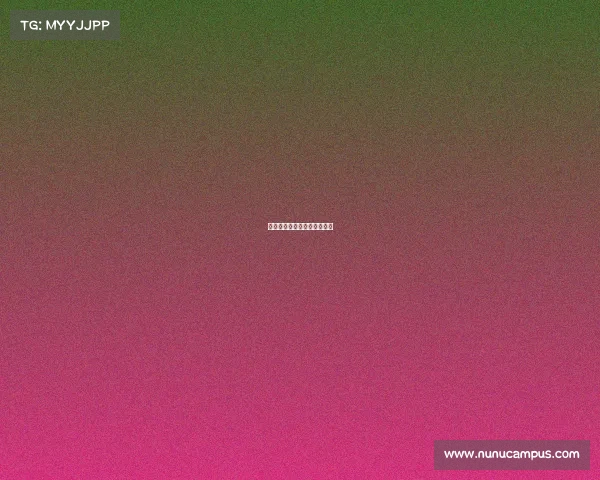 拳击赛事官网、拳击比赛赛程