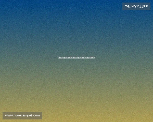 林志颖与他的赛车队共同征战多场国际赛事的心路历程与辉煌战绩