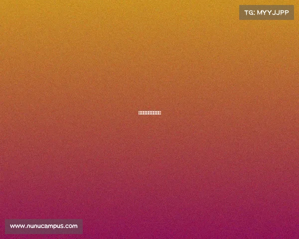 足球野鸡赛事有哪些